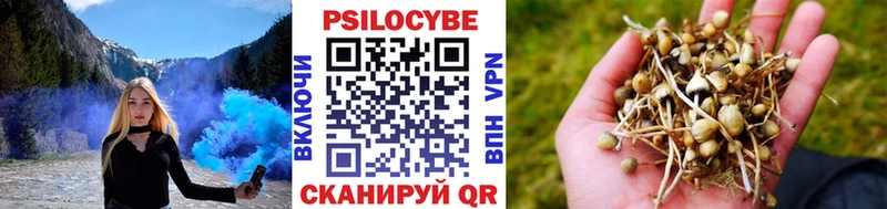 Галлюциногенные грибы Magic Shrooms  блэк спрут   Кушва 